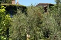 Porciglia Alta Hotell Montespertoli Eksteriør bilde
